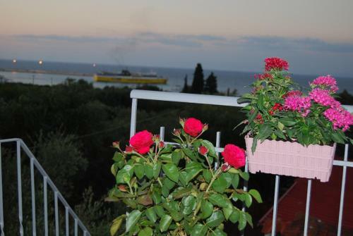 Hostal Killini Cottage Studio The Small Cyclades