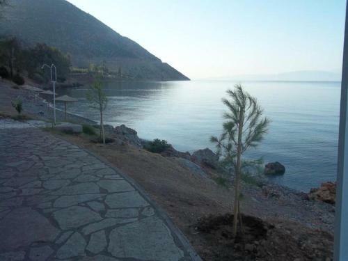 Apartamento Luxury Seafront House Nearby Delphi