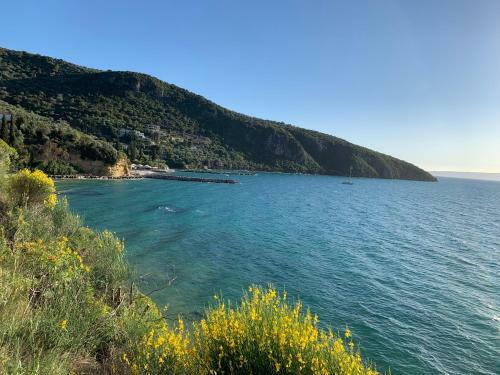 Panageas Holiday Apartments