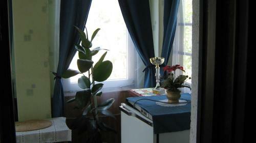 Misi Vend�gh�z
