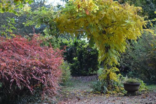 Bed & Breakfast Domaine De Benveau