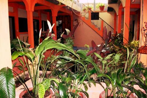 Hotel & Hostal Yaxkin Copan