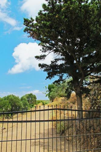 Agroturismo Petrakis Cretan Homes