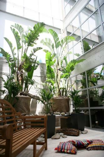 Hotel Soso Anastasia Star