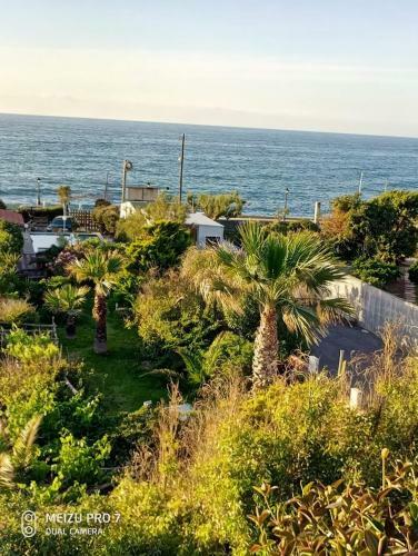 Georgia Seaside Villa