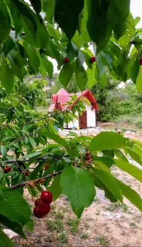 Krka Fairytale Village