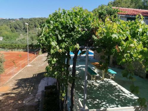 Vacation Home?shared Pool And Tennis Court?