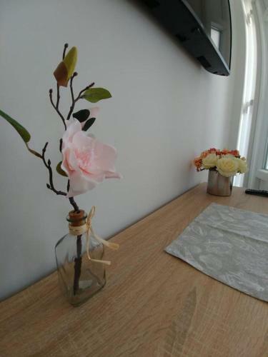 Apartmani Valuna