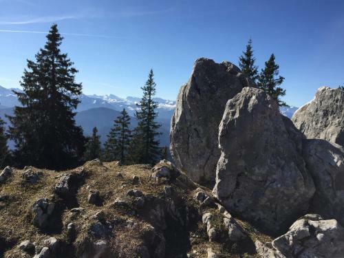 Apartamento Ferienwohnung Uschi Willibald