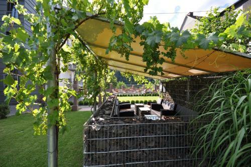 Bed & Breakfast G�stezimmer Im Weingut Amlinger&sohn