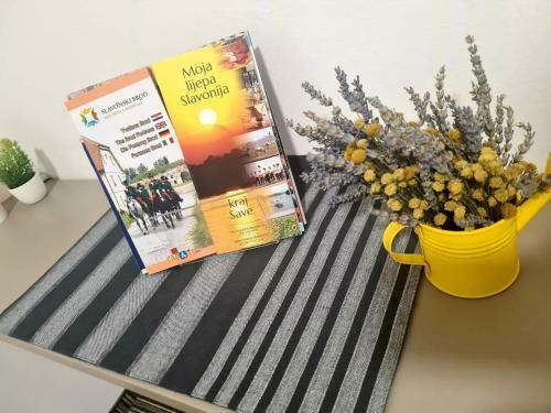 Apartamento Bonitos, Sobe-rooms