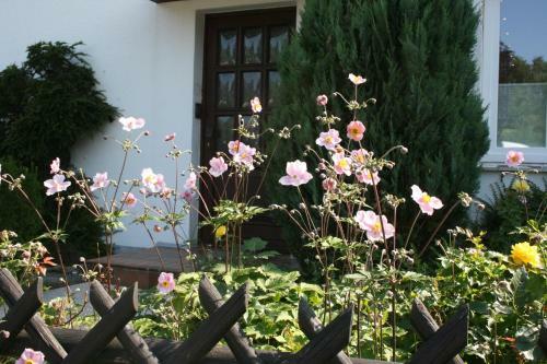Apartamento Passat Ferienwohnung