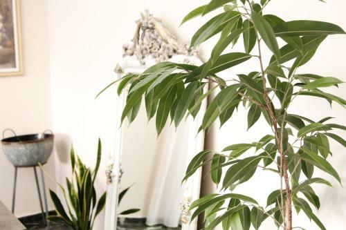 Apartamento Flower House Chania