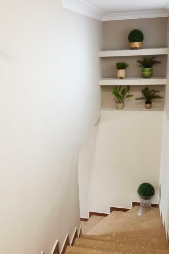 Apartamento Chrissula Apt Homeleader