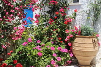 Hotel Mare Monte