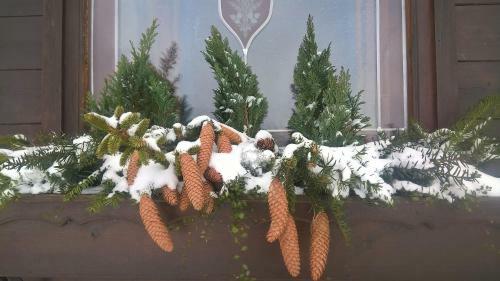 Bed & Breakfast G�stehaus Huber
