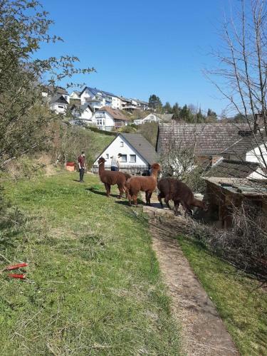 Ferienhaus Naturliebe