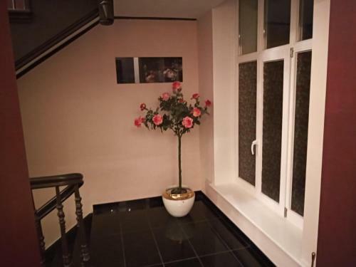 Apartamento Boutique Hotel Villa Rosali