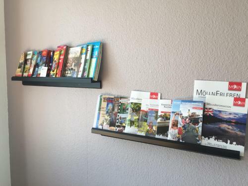 Apartamento Ferienwohnung Amseli