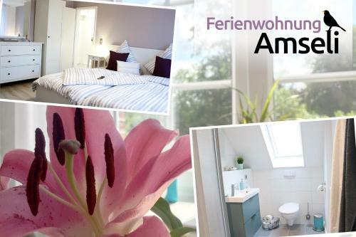 Apartamento Ferienwohnung Amseli
