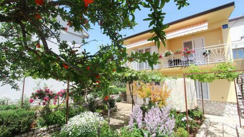 Apartment Lesica