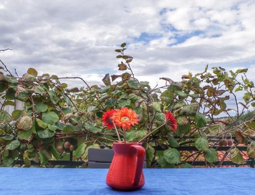 Apartments With A Parking Space Rogoznica - 15876