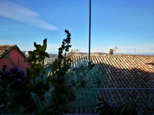 Bed & Breakfast Casaforte Alba In Langa