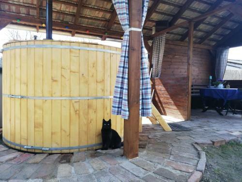 B�bita Apartmanh�z