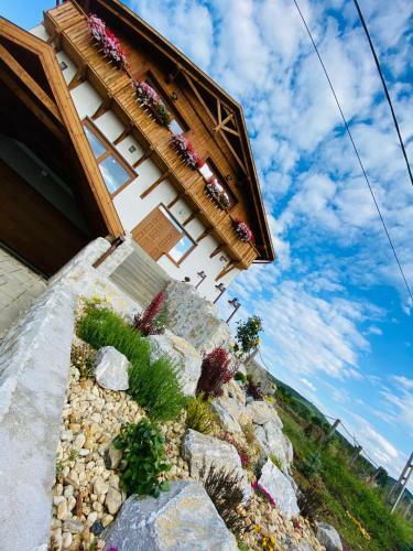 Hostal Gold Horse Vend�gh�z