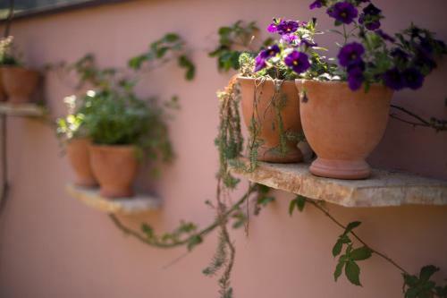 House Rabota Pula
