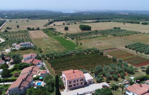 Apartment Niki, Surrounded By A Vineyard With A Whirlpool