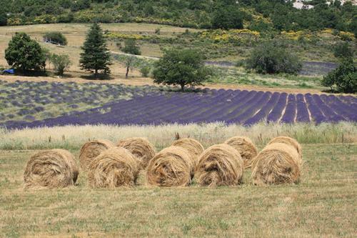 Bed & Breakfast La Bousquati�re