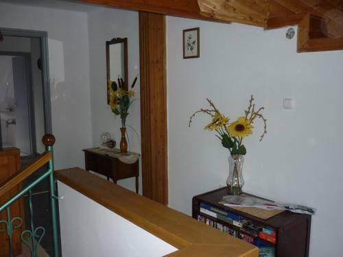 Apartamento Borosty�n Vend�gh�z