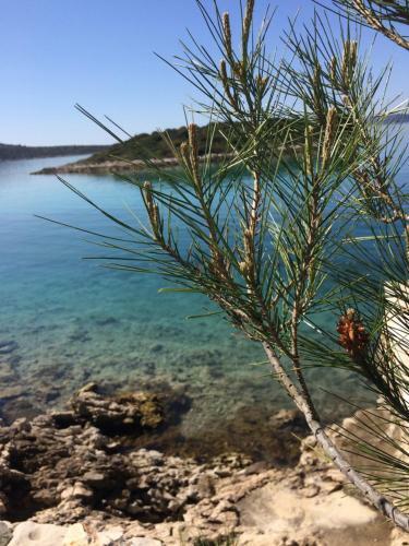 Holiday Home Pure Nature