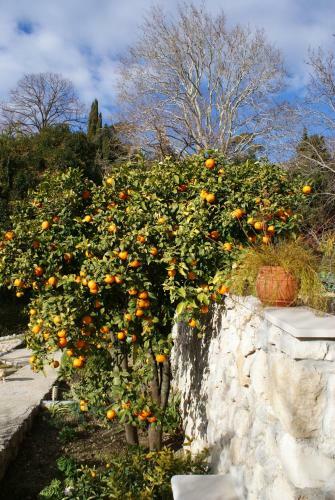 Apartamentos Three Oranges