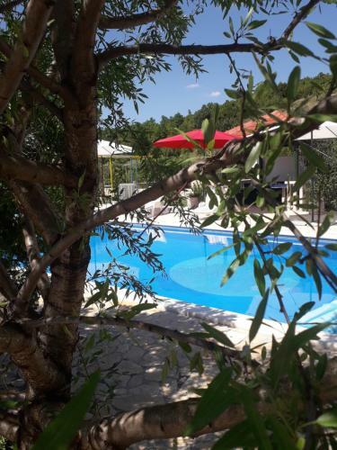 Villa Apartments Ana