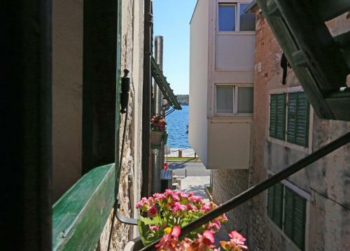 Hostal Swan Adriatic Apartment & Room