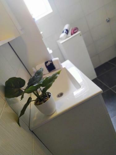 Apartment "luka"