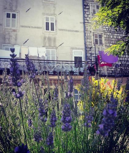 Apartamento La Maison Alvina