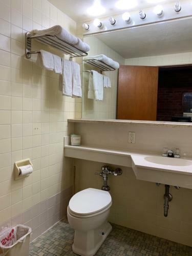 Motel The Lincoln Lodge Urbana