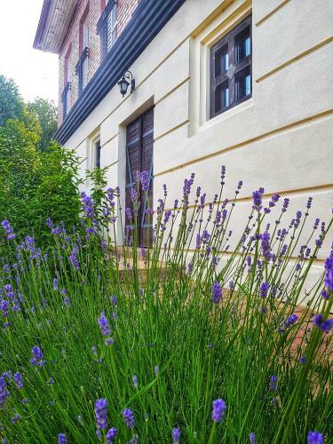 Apartamento Antal�czy Winery&apartments