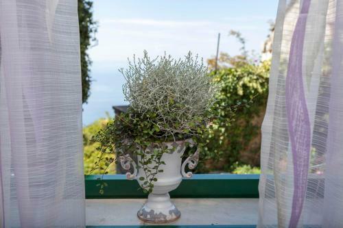 Holiday Home Lavanda Grubisic Tucepi
