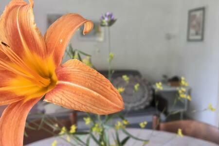 Tina's Holiday House