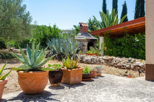 Apartments Namoru Gradina