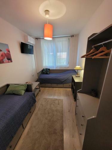 Hostal Tulip Home Guest House