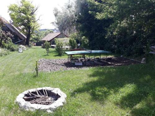 Andante Vend�gh�z