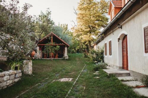 Andante Vend�gh�z