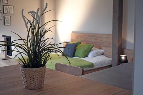Vatus Apartmanh�z V�c