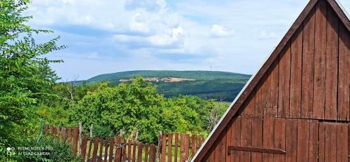 Apartamento V�rtestolna Vend�gh�z