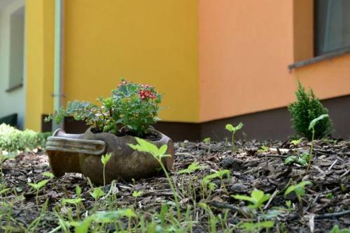 Apartamento Irma- Forr�s Vend�gh�zak